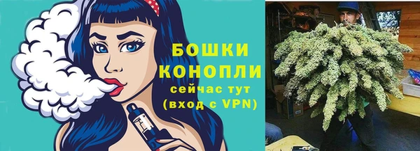 прущий лед Белокуриха