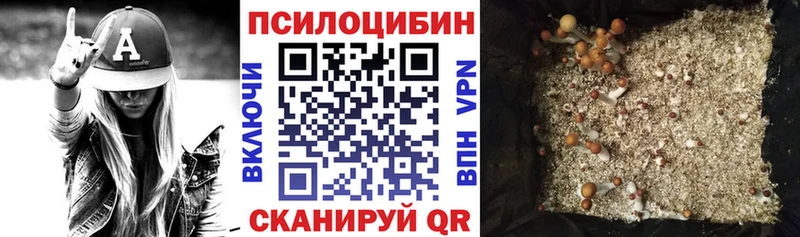 купить наркоту  маркетплейс как зайти  Псилоцибиновые грибы мухоморы  Югорск 